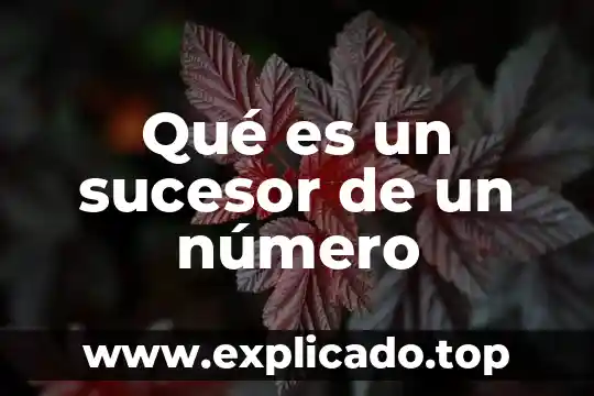 Que es numero cuadrado perfecto 4 Qué es un sucesor de un número