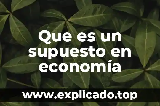 Que es isi en economia 5 Que es un supuesto en economía