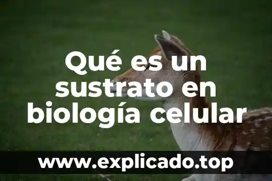 Biologia que es el adn 5 Qué es un sustrato en biología celular