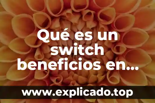 Port based switch que es 3 Qué es un switch beneficios en redes