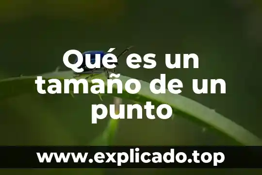 Que es el punto de optima utilidad en conta 5 Qué es un tamaño de un punto