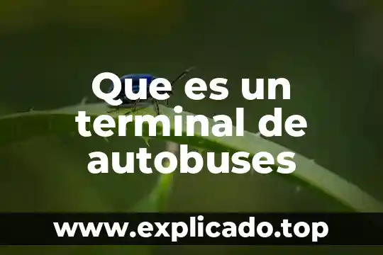 Que es una terminal carretra 5 Que es un terminal de autobuses