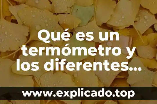 Qué es un termómetro y los diferentes tipos que hay