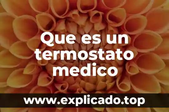 Que es estudio medico social 4 Que es un termostato medico