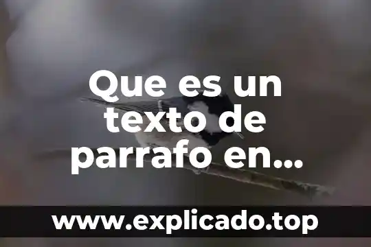 Que es un texto de parrafo en diseño grafico