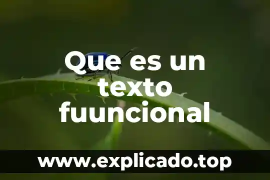 Que es un reactivo usando un texto 8 Que es un texto fuuncional