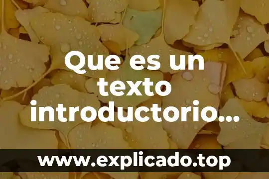 Que es un texto introductorio ingles y español