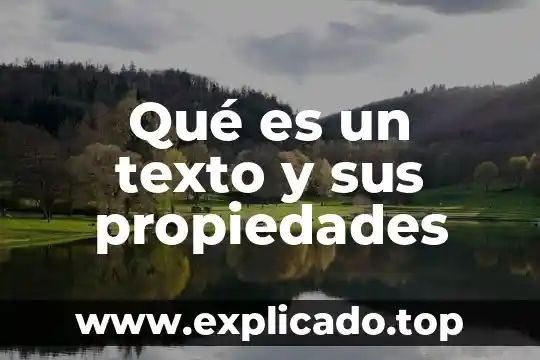Que es un reactivo usando un texto 5 Qué es un texto y sus propiedades