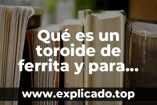 Qué es una catarina industrial y para qué sirve 7 Qué es un toroide de ferrita y para qué sirve