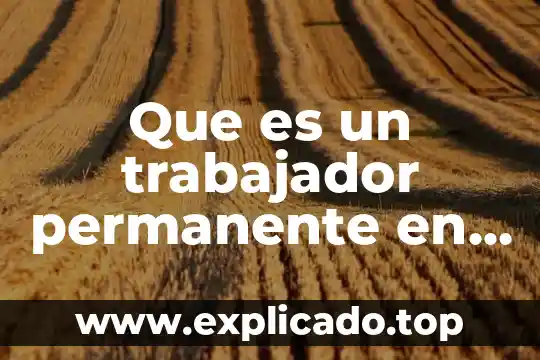 Campo esteril desechable que es 6 Que es un trabajador permanente en el campo