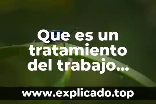 Que es un tratamiento del trabajo social