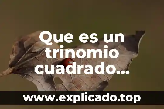 Que es lo perfecto filosofia 7 Que es un trinomio cuadrado perfecto por adicion y sustraccion
