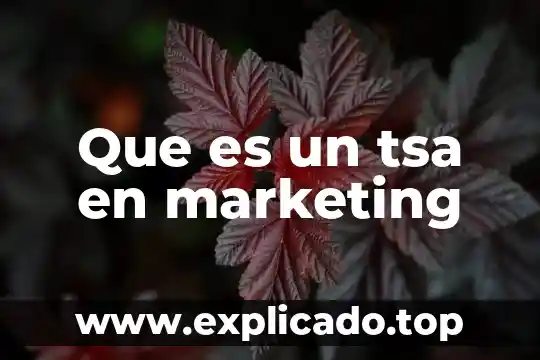 Que es el integrated marketing communications 8 Que es un tsa en marketing