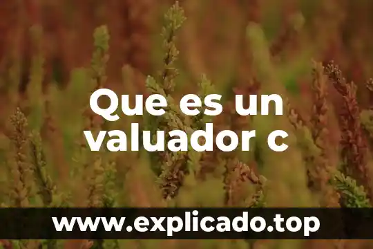 Que es notepad c++ 8 Que es un valuador c