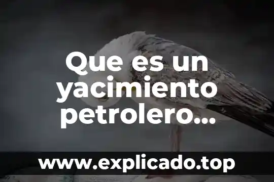 Que es la presion media de un yacimiento petrolero 3 Que es un yacimiento petrolero yahoo
