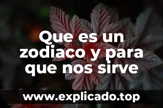 Que es un plano y que nos muestra 7 Que es un zodiaco y para que nos sirve