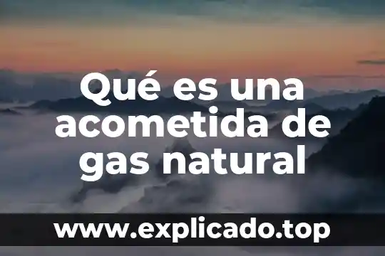 Que es mejor un calenton de luz o gas 7 Qué es una acometida de gas natural