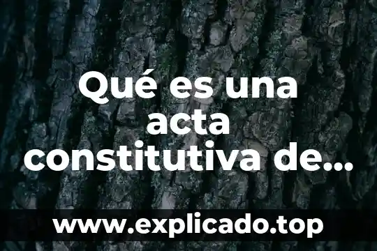 Qué es un acta constitutiva buena resolución 3 Qué es una acta constitutiva de protección civil