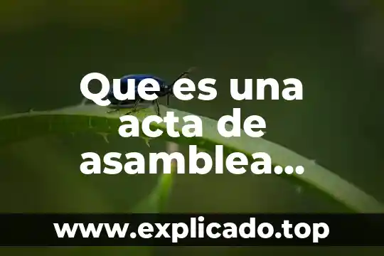 Que es una sociedad anonima de garantia reciproca 6 Que es una acta de asamblea ordinariade una sociedad anonima