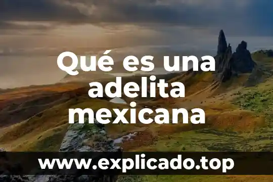 Que es el formato de pedimento de importación definitiva 3 Qué es una adelita mexicana