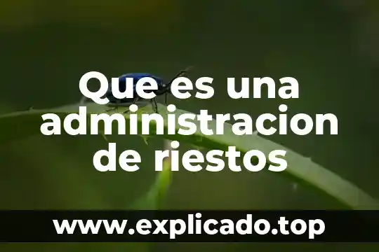 Que es el fleco sola 3 Que es una administracion de riestos