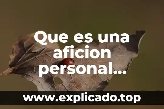 Qué es mercancía en el ámbito de la economía 4 Que es una aficion personal ejemplos