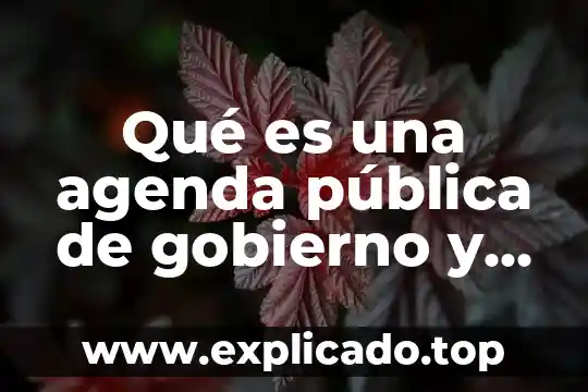 Agenda 2030 que es y en que consiste 3 Qué es una agenda pública de gobierno y política