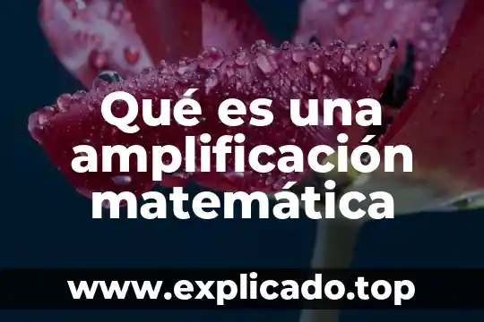 Que es la variacion matematica 3 Qué es una amplificación matemática