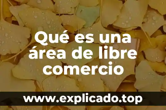 Sistema de admisión doble que es 3 Qué es una área de libre comercio