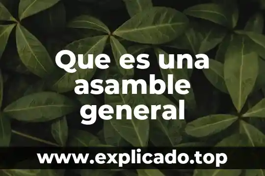Que es la consulta medica general 8 Que es una asamble general