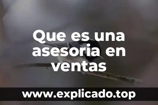 Que es un balance de ventas y cobranza 8 Que es una asesoria en ventas