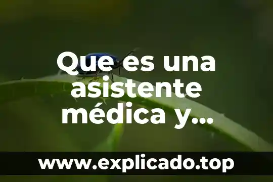 Qué es una tutoría administrativa 4 Que es una asistente médica y administrativa
