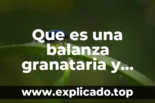 Que es el pantalla y sus partes 4 Que es una balanza granataria y sus partes