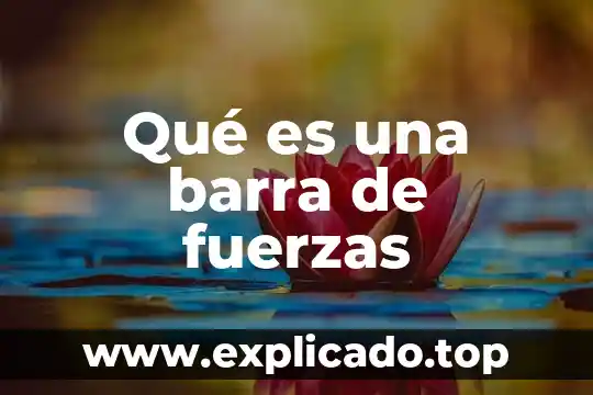 Que es una grafica barra 6 Qué es una barra de fuerzas