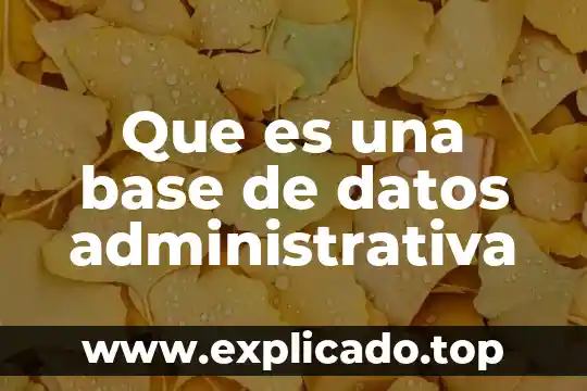 Procesador de datos que es 5 Que es una base de datos administrativa