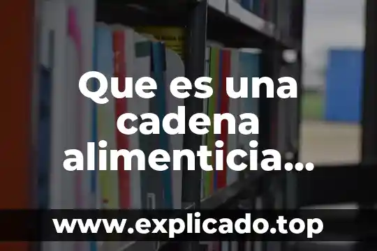 Qué es el nivel trófico en la cadena alimenticia 7 Que es una cadena alimenticia significado