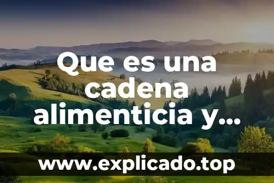 Que es la cesacion de pension alimenticia en mexico 4 Que es una cadena alimenticia y cual es su importancia
