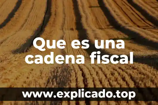 Qué es el nivel trófico en la cadena alimenticia 5 Que es una cadena fiscal