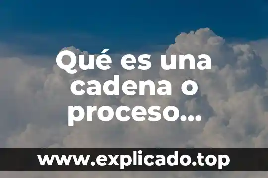 Que es el bono productivo 3 Qué es una cadena o proceso productivo