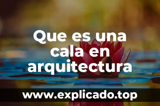 Que es el conjunto potencia de una base de datos 5 Que es una cala en arquitectura