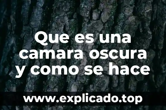 Qué es una calcinación y como se hace 3 Que es una camara oscura y como se hace
