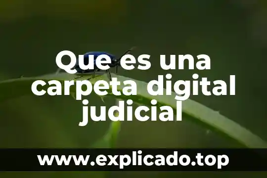 Que es bueno de carnada para pescar 7 Que es una carpeta digital judicial