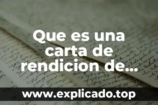 Que es una carta de observaciones o informeargo 6 Que es una carta de rendicion de cuentas