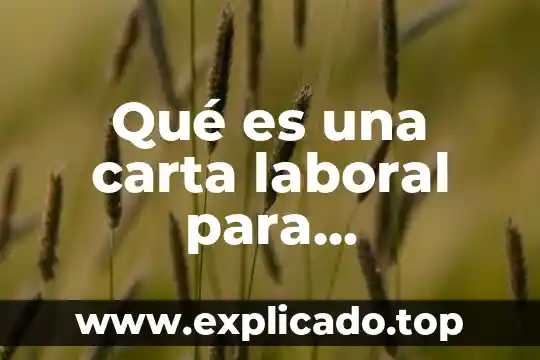 Que es una empressa derecho laboral 7 Qué es una carta laboral para comprobar ingresos