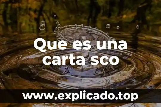 Que es carta cotizada 4 Que es una carta sco