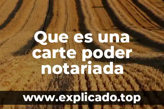 Que es el poder segun hobbes 4 Que es una carte poder notariada