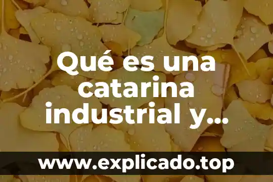 Rejuvelac que es para sirve 3 Qué es una catarina industrial y para qué sirve
