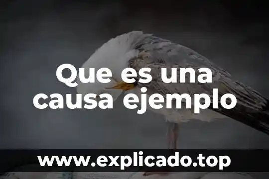 Que es una causa ejemplo