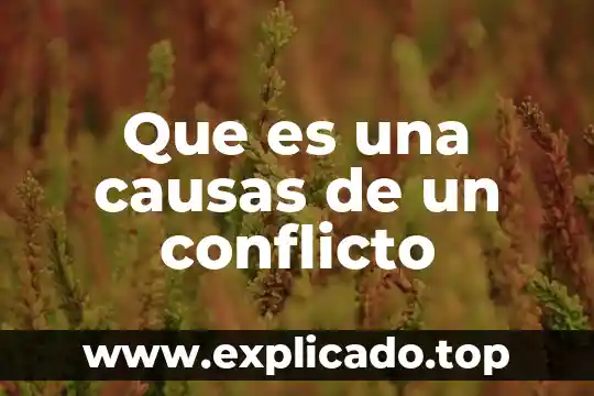 Que es un conflicto social brainly 8 Que es una causas de un conflicto