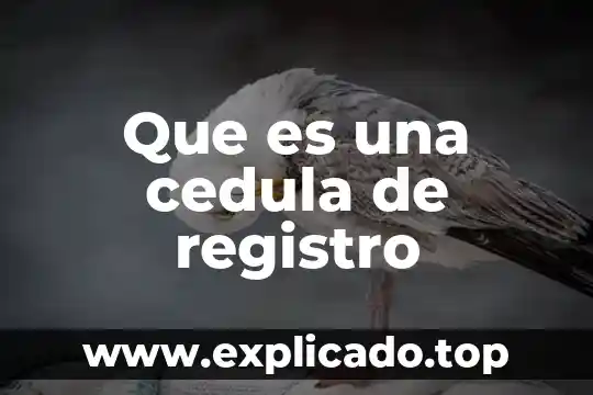 Cedula de identidad numero que es 7 Que es una cedula de registro